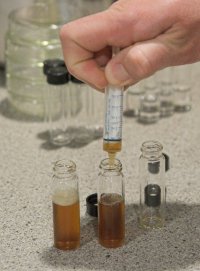 File:Plates filling starter.jpg