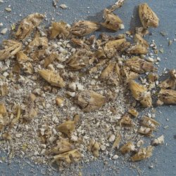 File:Crush moist tight 250x250.jpg