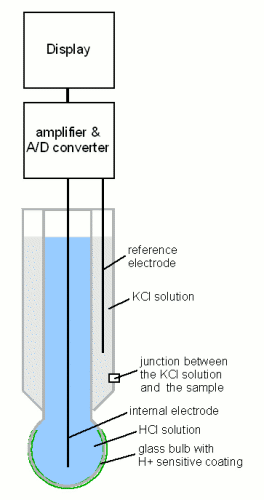 File:PH electrode.gif