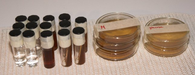 File:Plates done.jpg