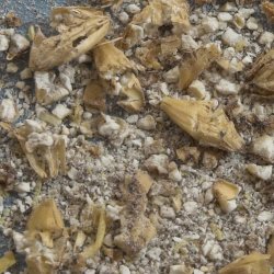 File:Crush moist tight closeup 250x250.jpg