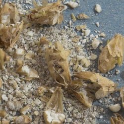 File:Crush moist normal closeup 250x250.jpg