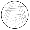 Plate streaking pattern.gif
