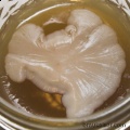 Thumbnail for version as of 23:12, 24 July 2011