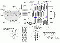 Thumbnail for version as of 06:11, 3 January 2009
